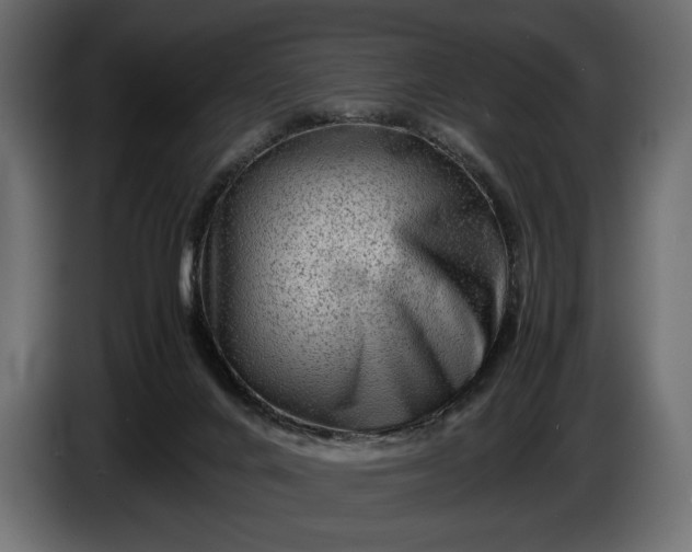 X0000086290024200704131557