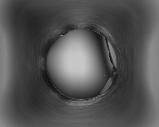 X0000086290025200704131557