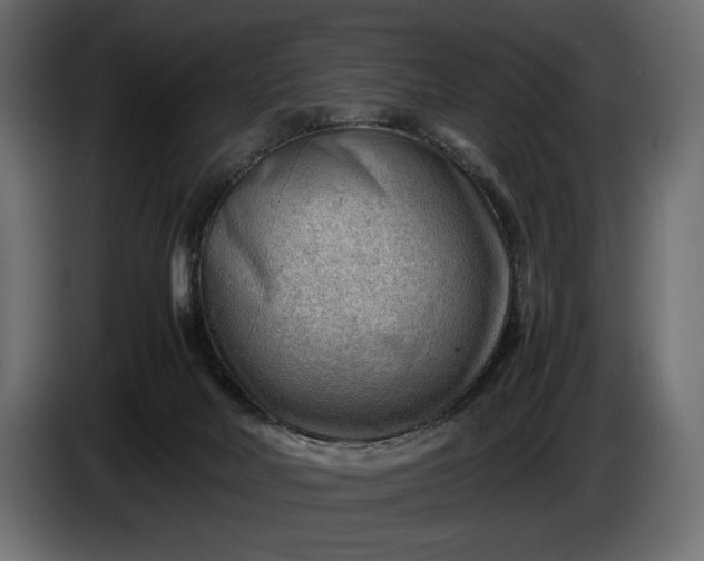 X0000086290026200704131557