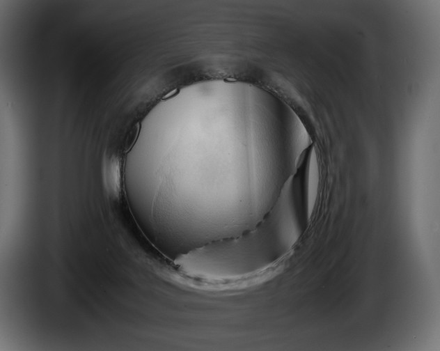 X0000086290027200704131557
