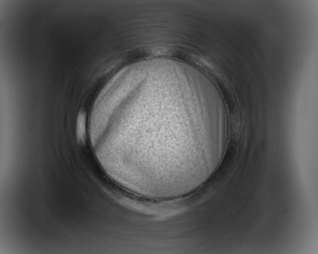 X0000086290028200704131557