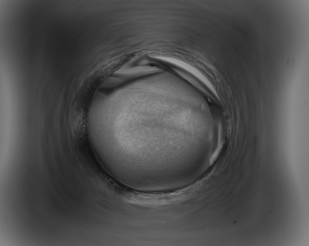 X0000086290029200704131557