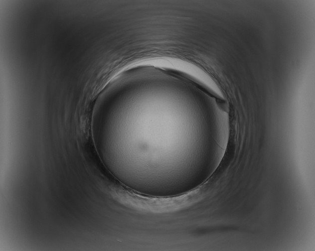 X0000086290031200704131557