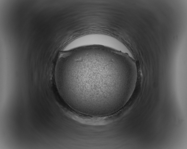X0000086290032200704131557