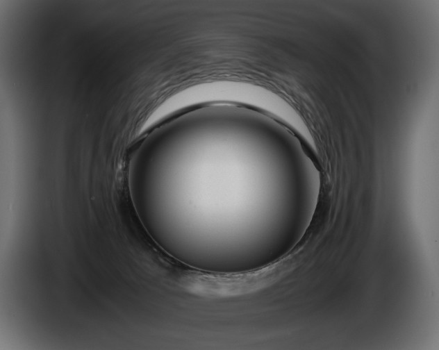 X0000086290033200704131557