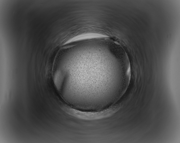 X0000086290034200704131557