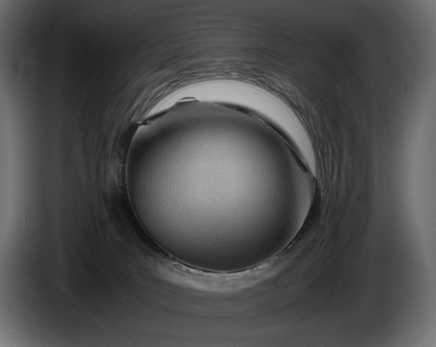X0000086290035200704131557