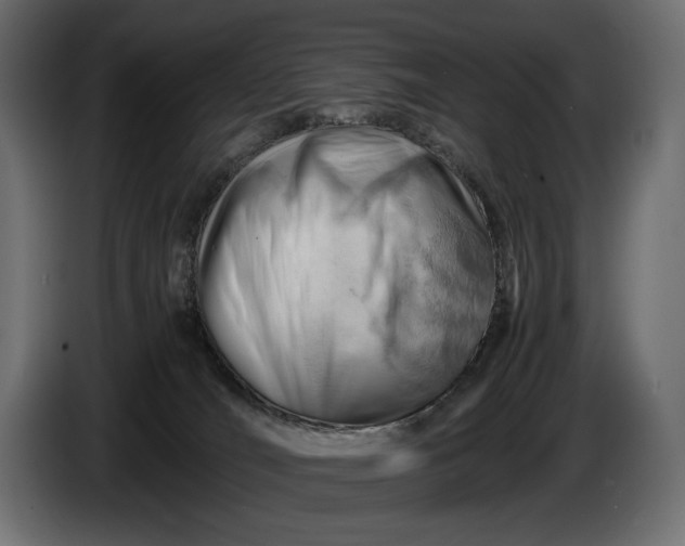 X0000086290036200704131557
