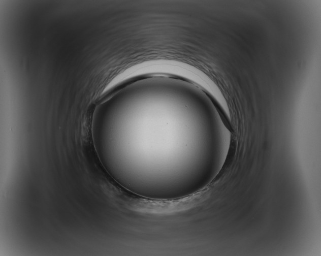 X0000086290037200704131557