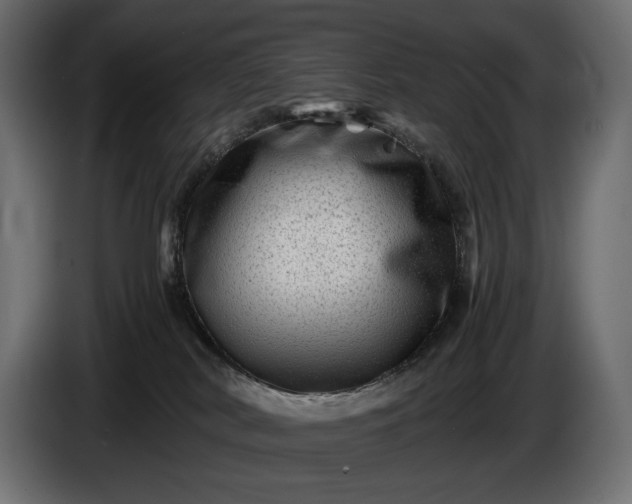 X0000086290038200704131557