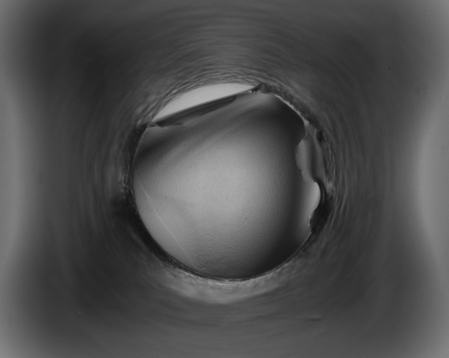 X0000086290039200704131557