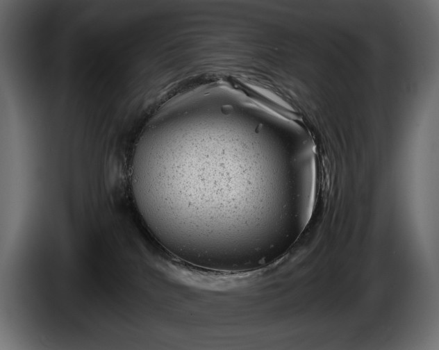 X0000086290040200704131557