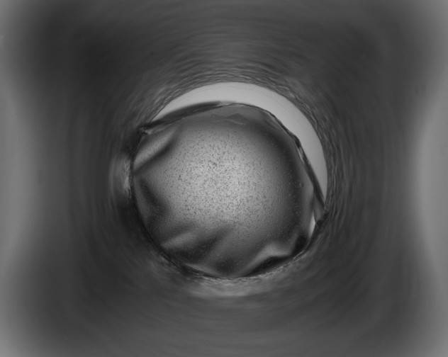 X0000086290041200704131557