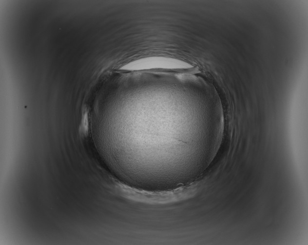 X0000086290042200704131557