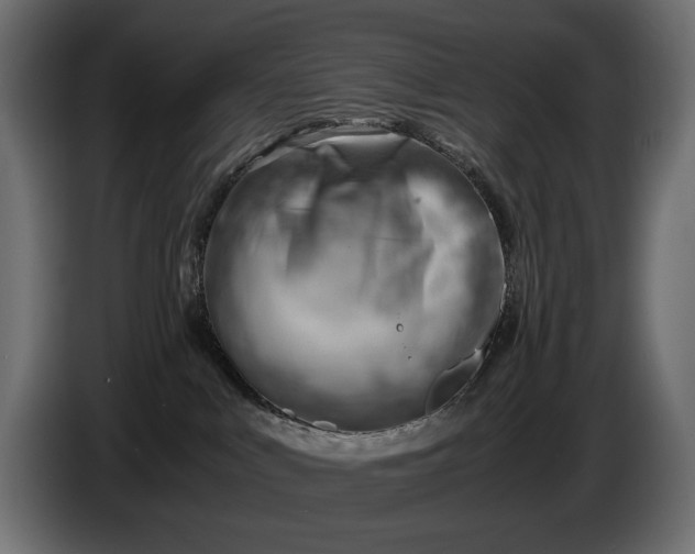 X0000086290043200704131557