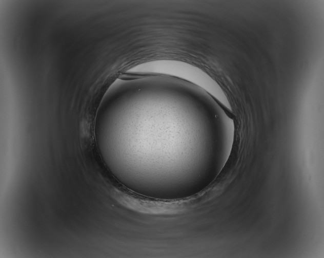 X0000086290044200704131557
