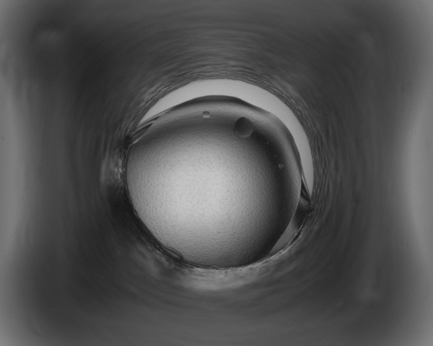 X0000086290045200704131557