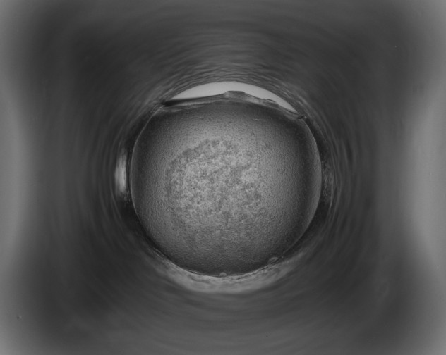 X0000086290046200704131557