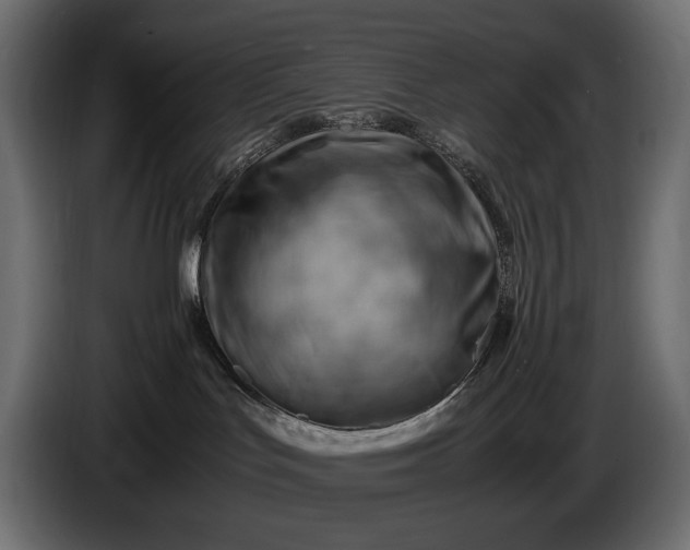 X0000086290047200704131557