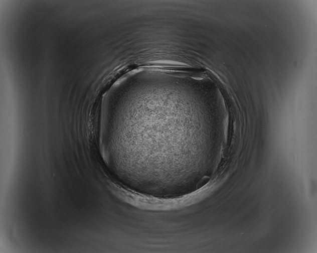 X0000086290048200704131557