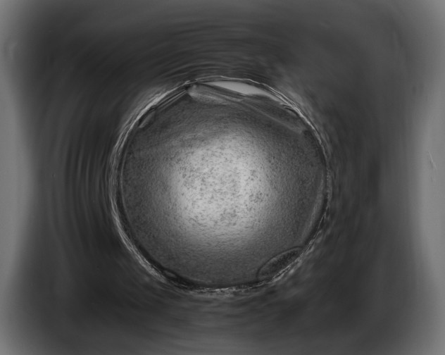 X0000086290049200704131556