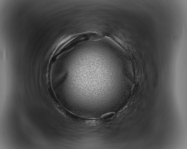 X0000086290050200704131556