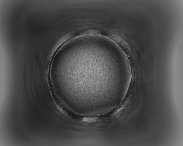 X0000086290051200704131556