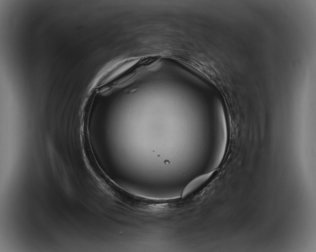 X0000086290054200704131556