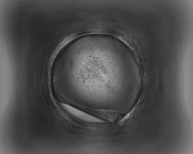 X0000086290055200704131556