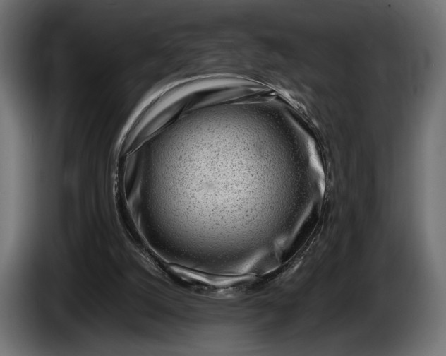 X0000086290056200704131557