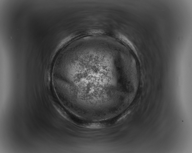 X0000086290059200704131557