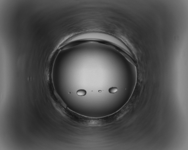 X0000086290060200704131557