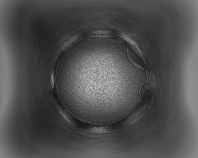 X0000086290061200704131557