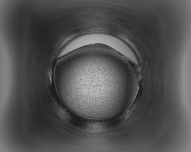 X0000086290062200704131557