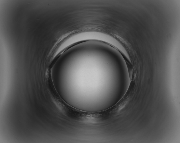 X0000086290064200704131557