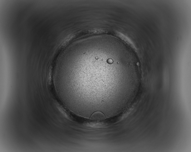 X0000086290065200704131557