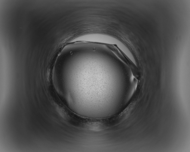 X0000086290066200704131557