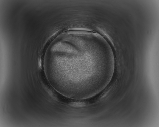 X0000086290067200704131557