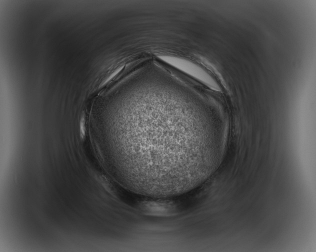 X0000086290069200704131557