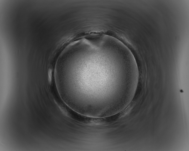 X0000086290070200704131557