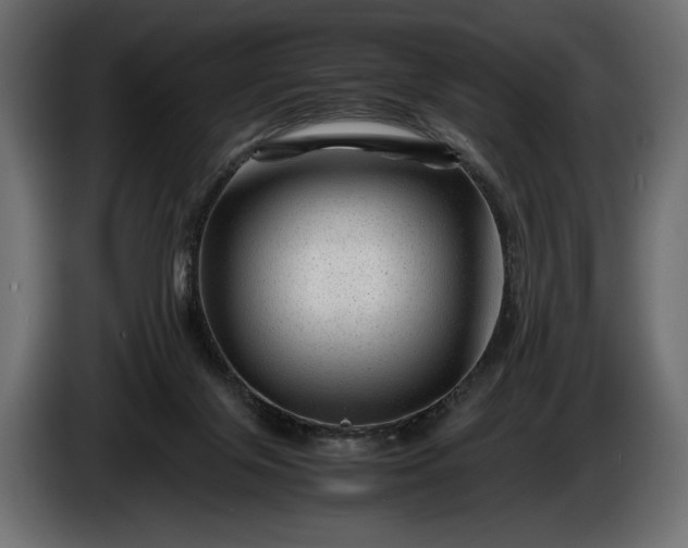 X0000086290071200704131557