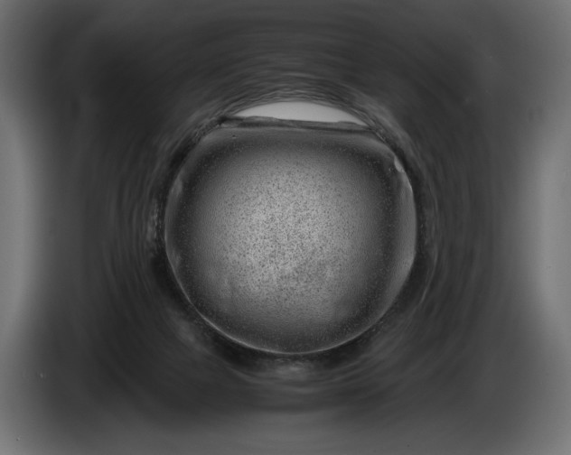 X0000086290073200704131557