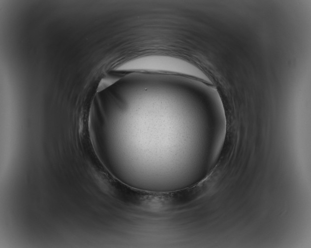 X0000086290074200704131557