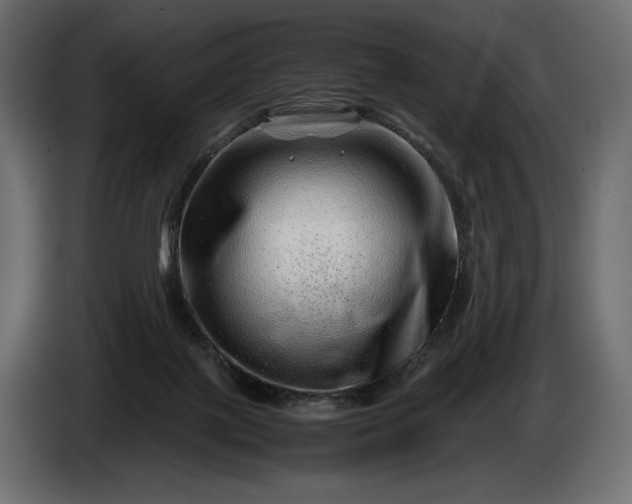 X0000086290075200704131557