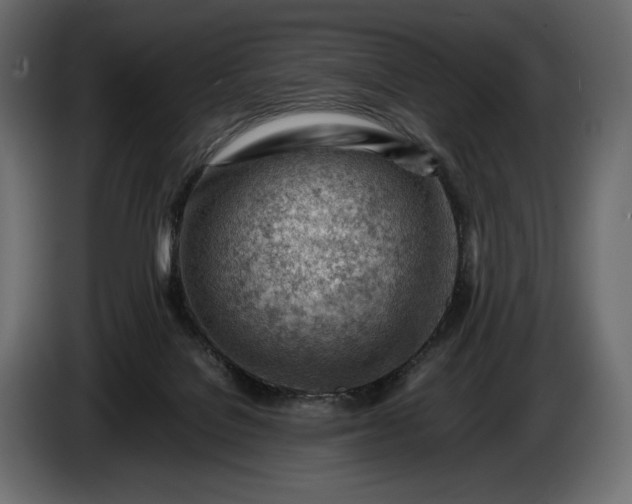 X0000086290076200704131557
