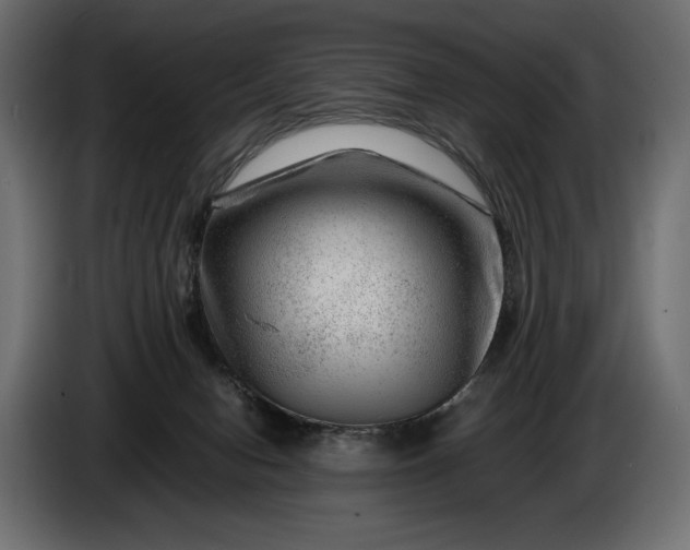 X0000086290078200704131557