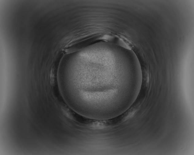 X0000086290080200704131557