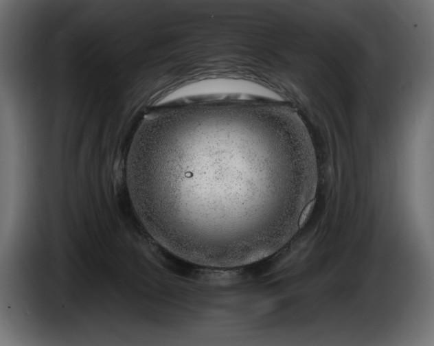 X0000086290081200704131557