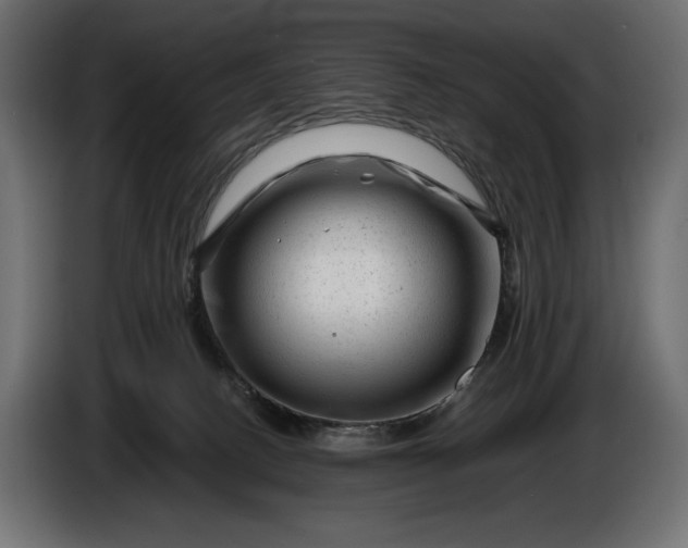 X0000086290082200704131557