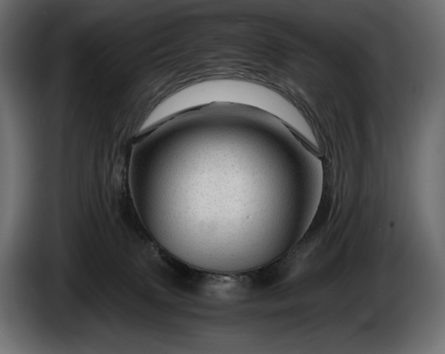 X0000086290083200704131557